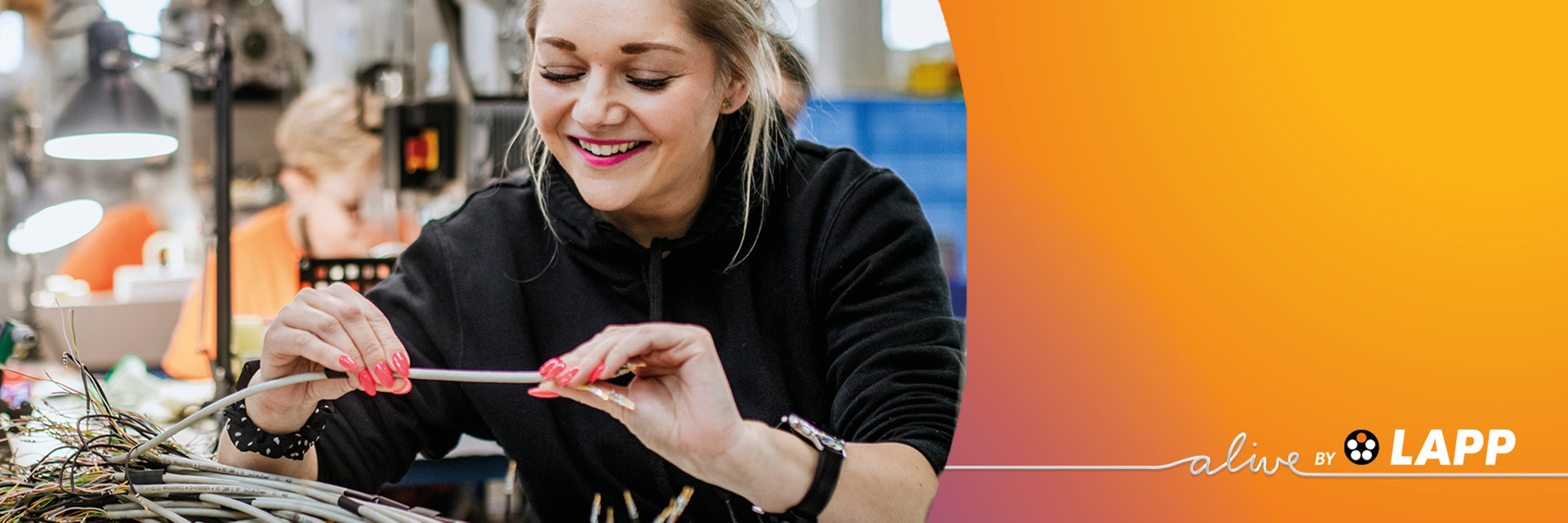 LAPP Harnessing Solutions