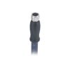 Slika EPIC® M8A female straight molded cable